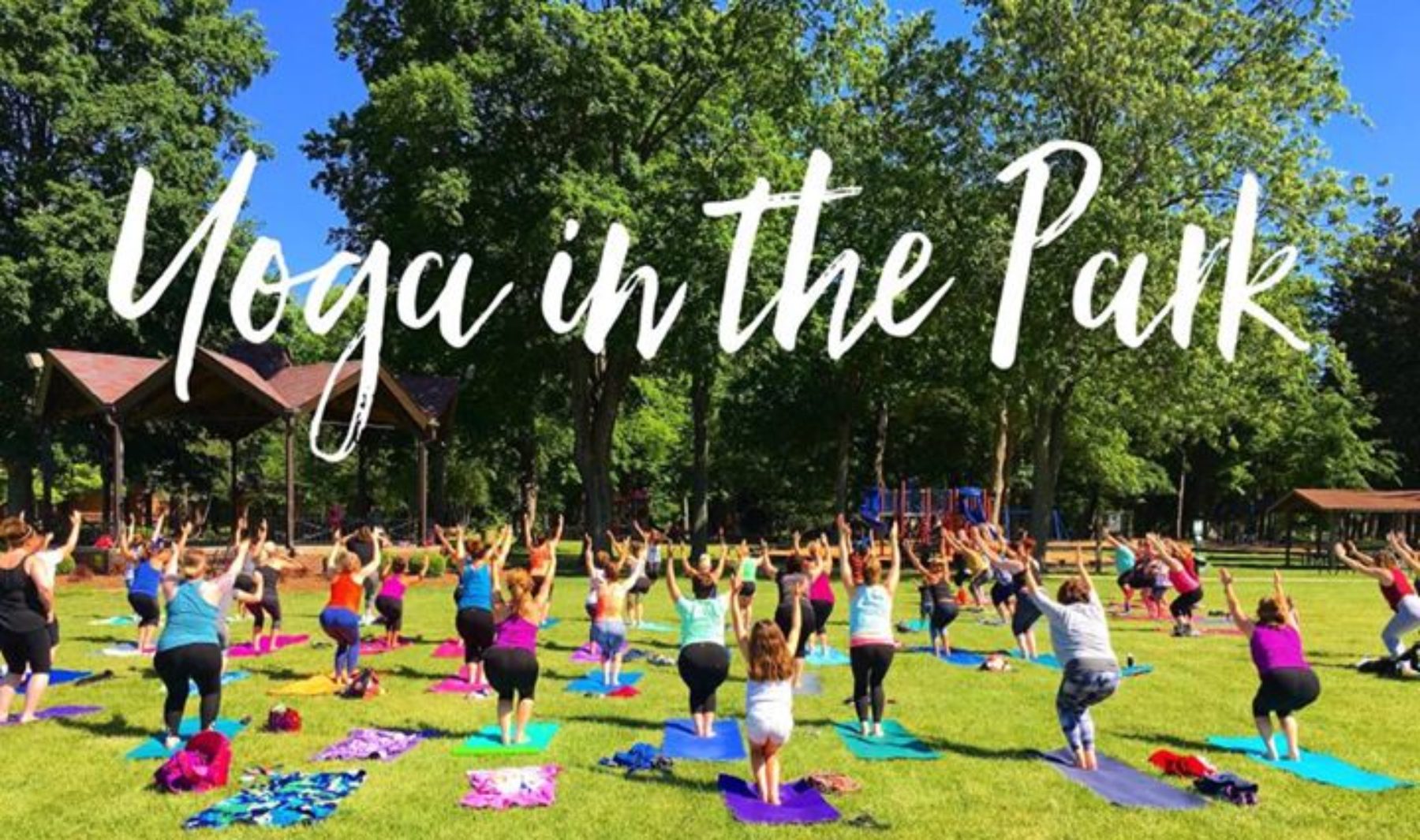 Yoga In The Park Asheville Nc - YogaWalls